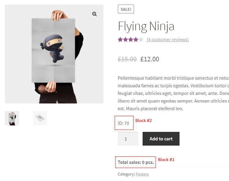 Booster For WooCommerce WooCommerce Product Info Example 1